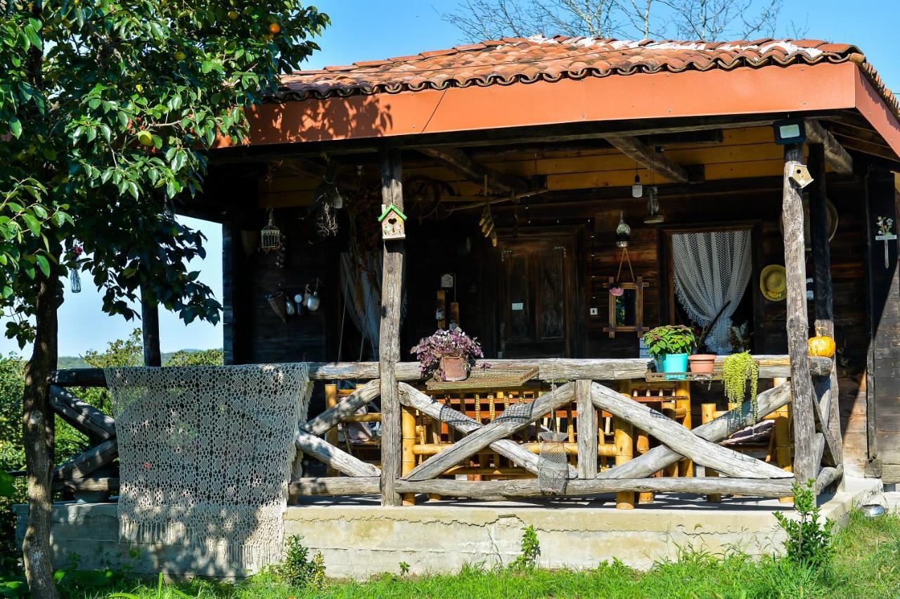 קוטאיסי Agro Guesthouse Korena מראה חיצוני תמונה