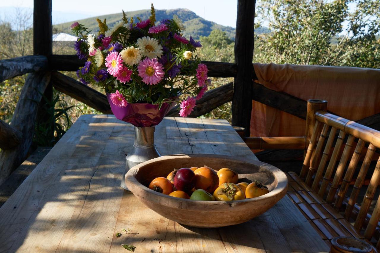 קוטאיסי Agro Guesthouse Korena מראה חיצוני תמונה